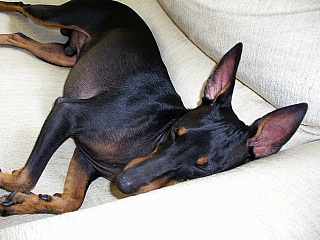 c0123149_1433822.jpg