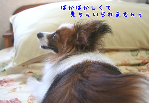 d0013149_1050101.jpg