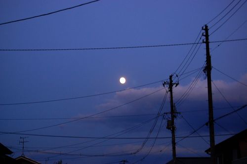 b0112758_1905726.jpg