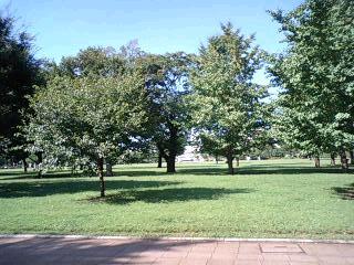 d0100459_91249.jpg