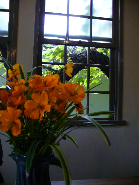 f0074659_2355524.jpg