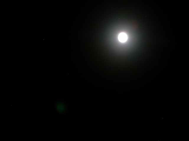 b0104861_22273773.jpg