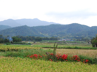 d0087062_19553858.jpg