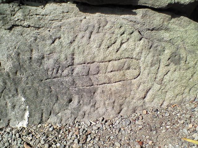 e0119664_21131435.jpg