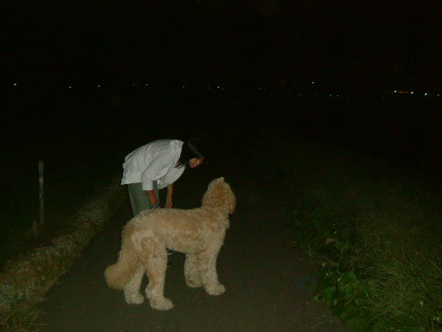 c0082567_0134627.jpg