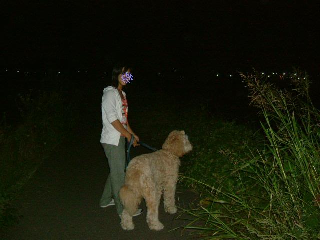 c0082567_0185149.jpg