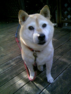 f0061067_205810100.jpg