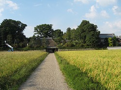 e0041168_2183829.jpg