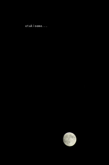 c0027369_2201270.jpg