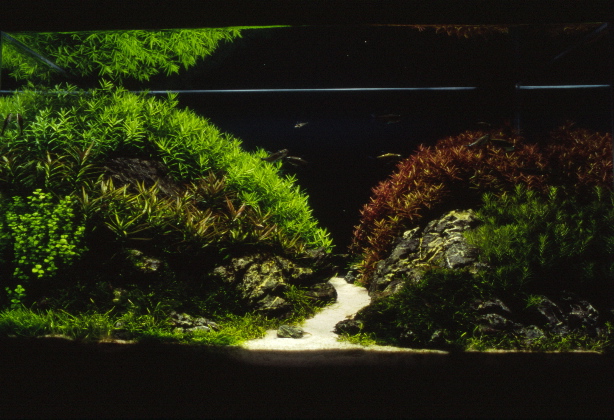 d0090170_2125754.jpg