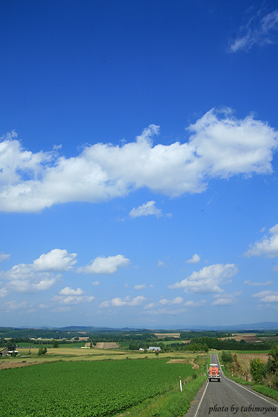 e0096774_1954380.jpg
