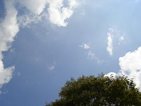 c0065676_055561.jpg