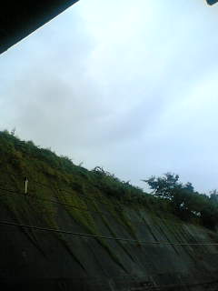 f0100480_20104958.jpg