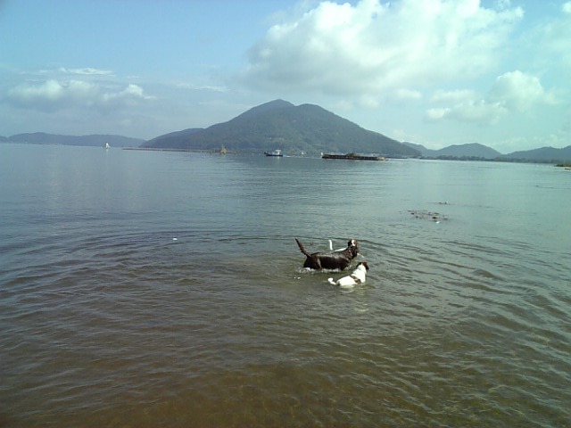 f0133681_2254788.jpg