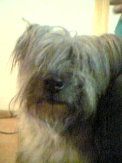 d0083282_2227070.jpg
