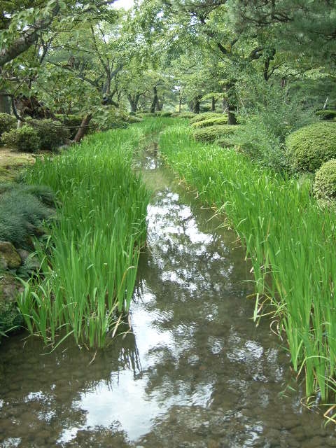 c0119583_2059310.jpg