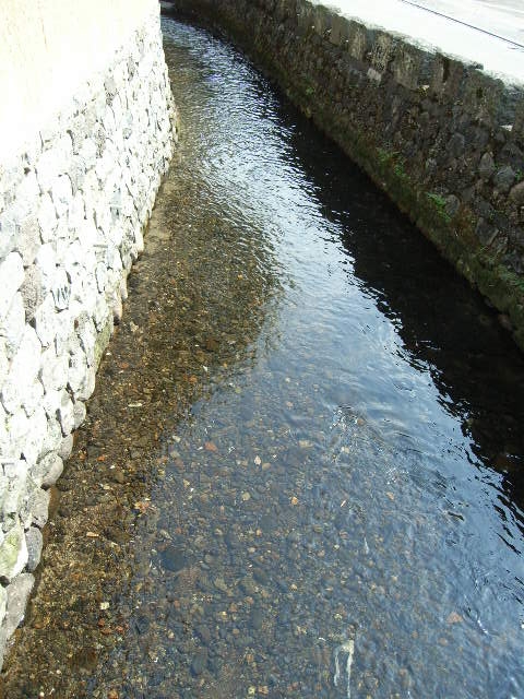 c0119583_2113397.jpg