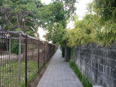b0101284_20474851.jpg