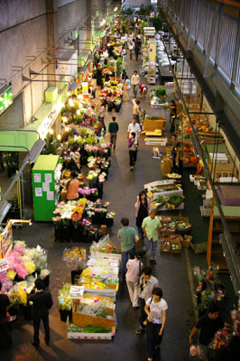 d0039584_22111238.jpg