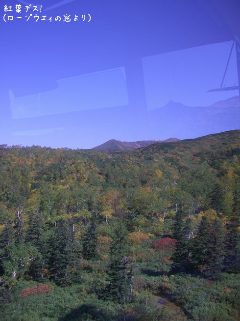 b0000885_8432494.jpg