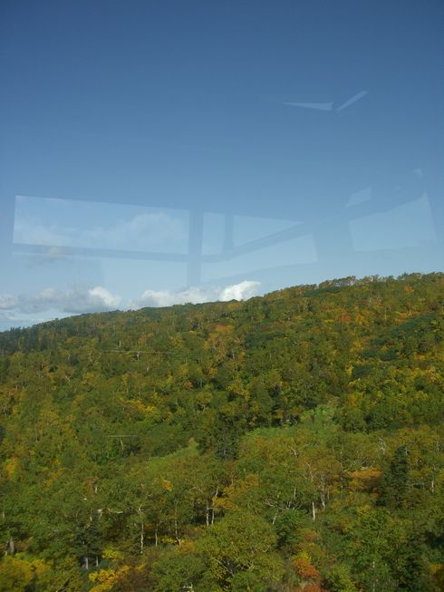 b0000885_8441992.jpg