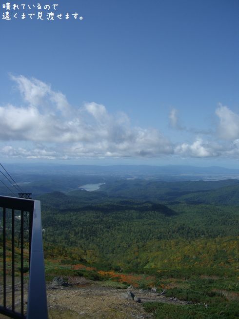 b0000885_8461691.jpg