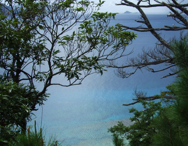 e0028387_23281042.jpg
