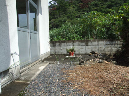 e0028387_23322062.jpg