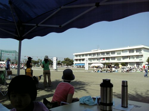 e0081989_8543531.jpg