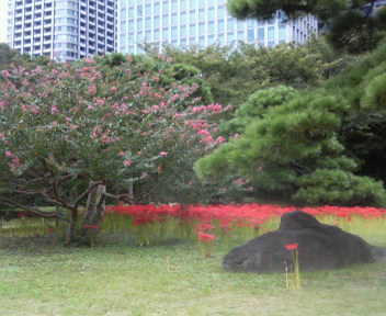 f0018790_224647.jpg