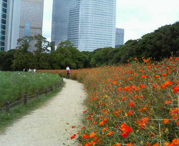 f0018790_241458.jpg