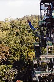 f0069890_21582748.jpg