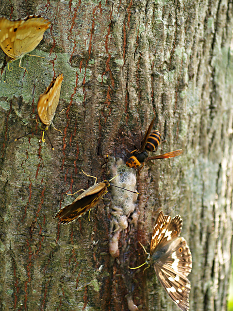 b0053192_13573760.jpg