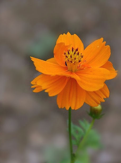 c0061695_23153250.jpg