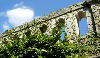 d0129295_1120374.jpg