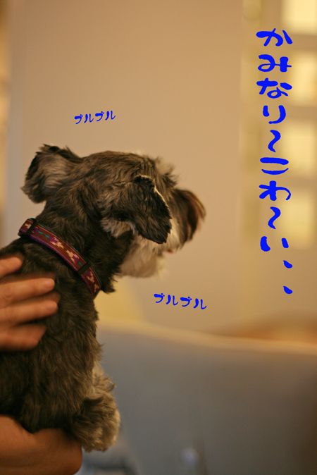 f0001895_1727538.jpg