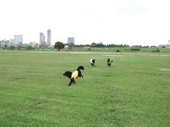 c0050400_1453313.jpg