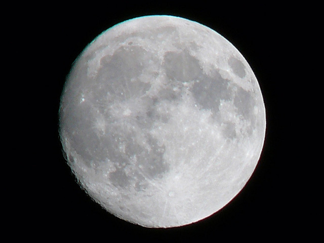 a0067201_622349.jpg