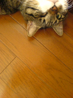 c0035001_126492.jpg