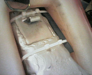 e0104702_1993217.jpg