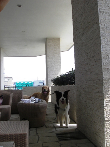 f0034602_19534576.jpg