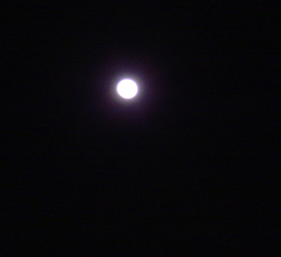 c0052304_632350.jpg