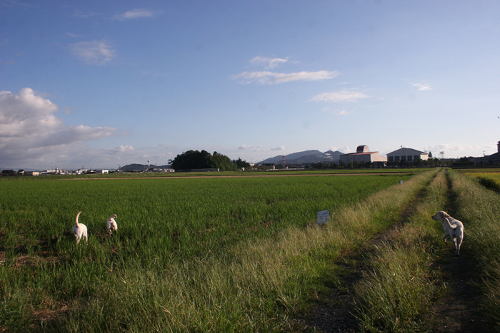 c0089005_1223358.jpg