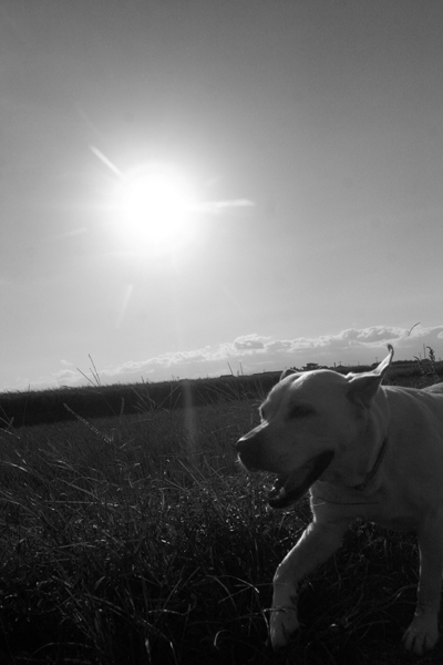 c0089005_193273.jpg
