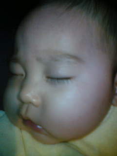 c0032006_01122.jpg