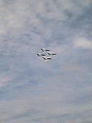 e0045108_23203767.jpg
