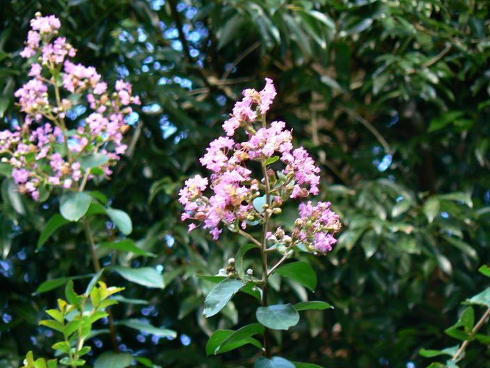 c0086014_224567.jpg