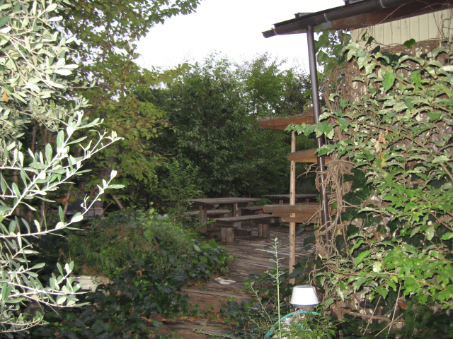b0093515_741156.jpg