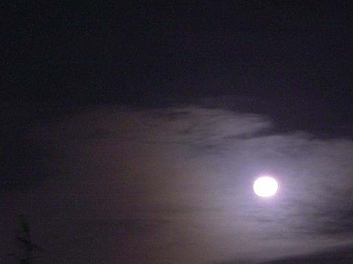 c0116216_23253283.jpg