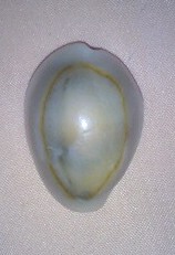 c0120316_13523571.jpg